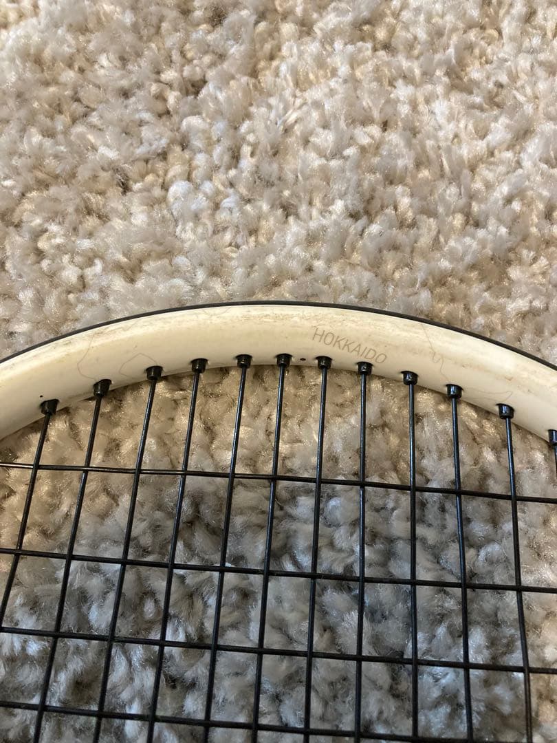 Prince　ラケット　ビースト100限定版