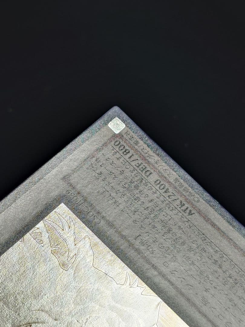 ブラック・ローズ・ドラゴン ホロ