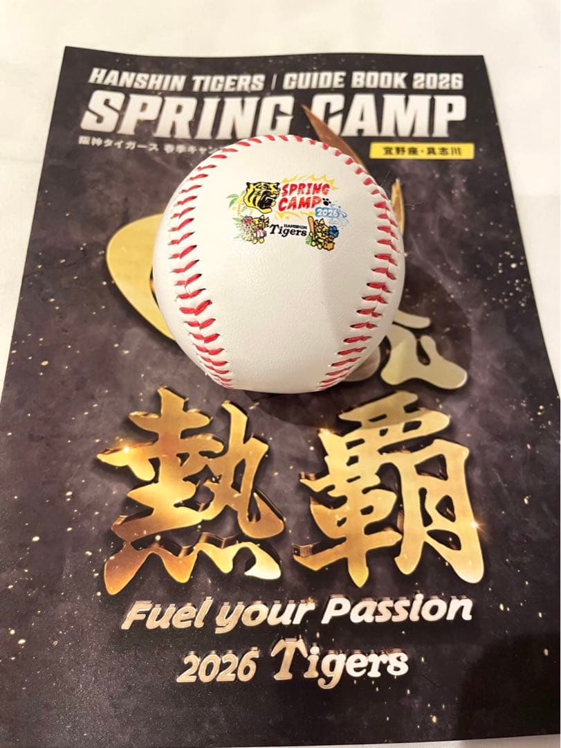 阪神タイガース 中野拓夢 直筆サインボール 2026沖縄キャンプ限定球
