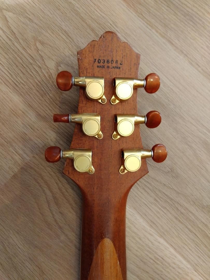 FUJIGEN フジゲン F&C Anboy AF-55C Ashfield