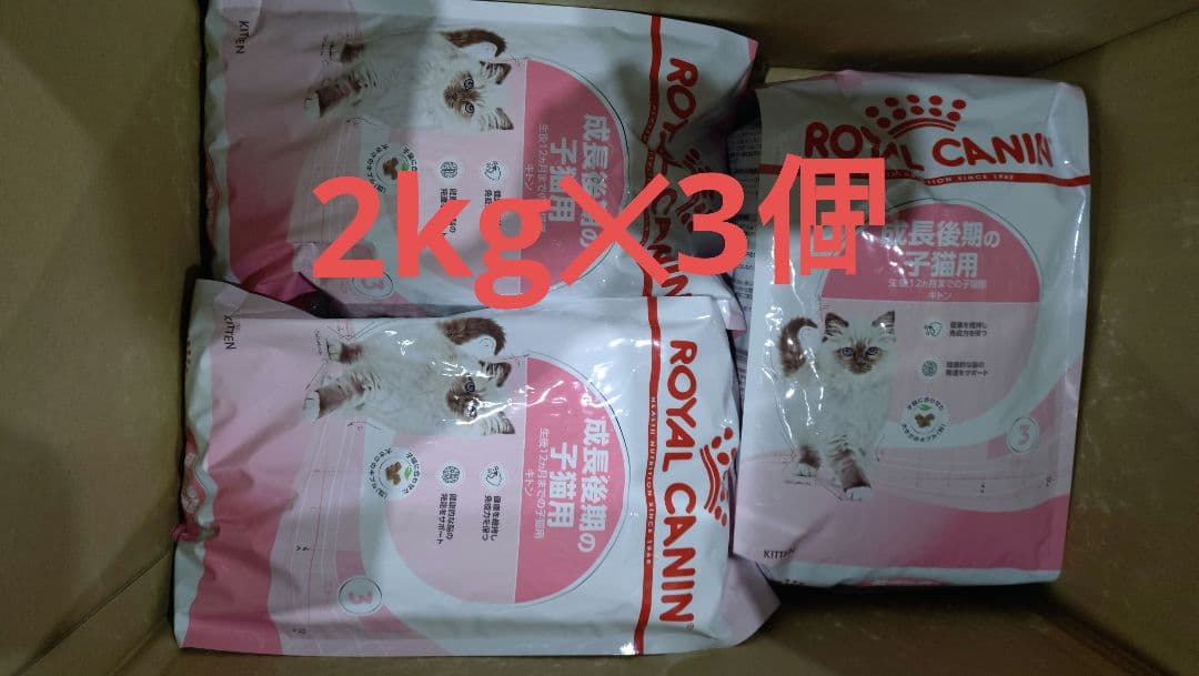  CANIN キトン2kg✕3個