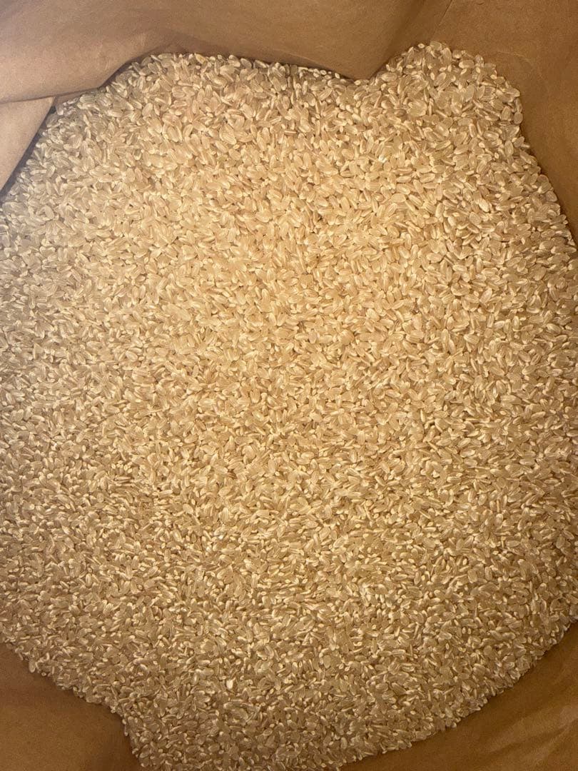 栃木県産農家直売ゆうだい21玄米10kg