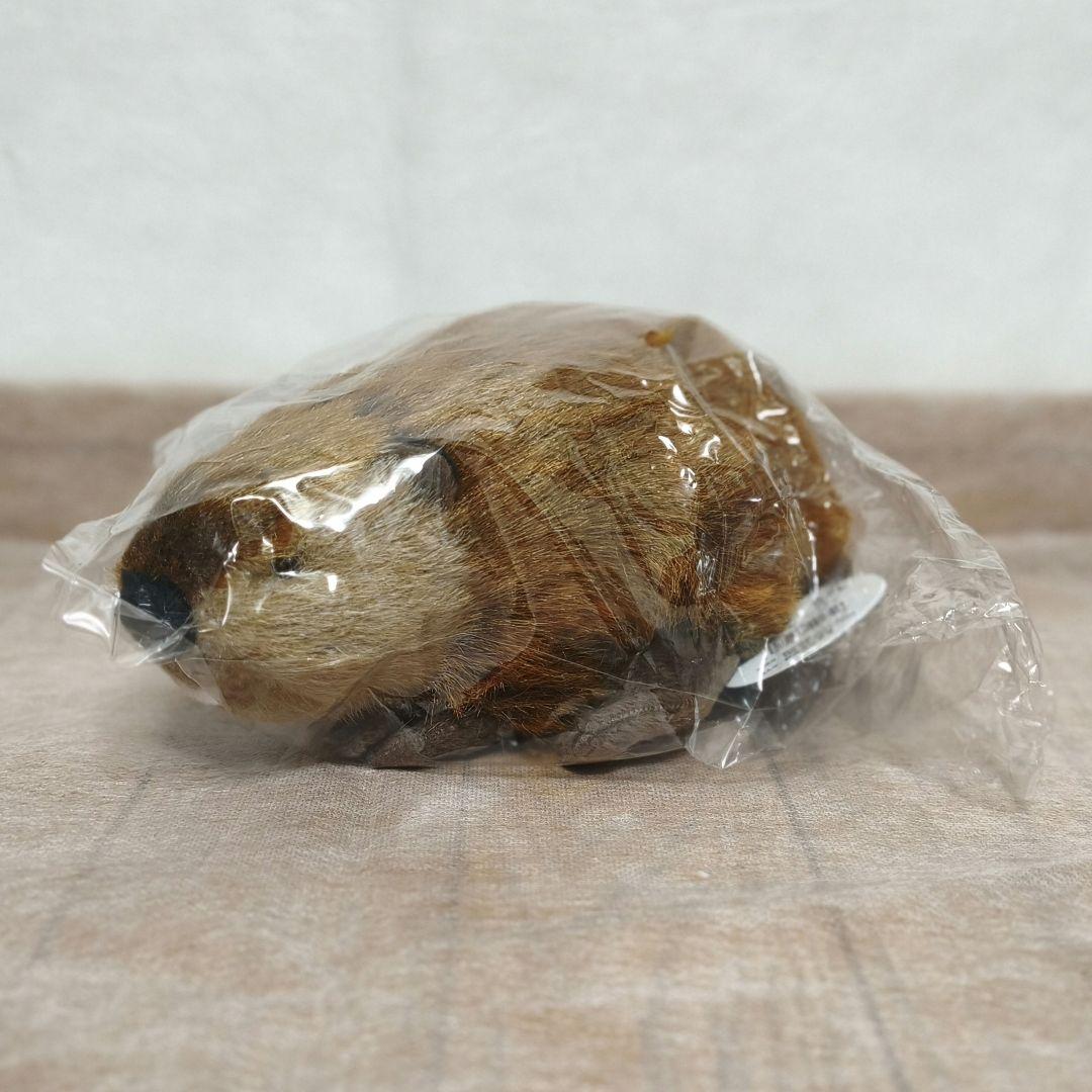SUPER BEAVER スーパービーバーちゃん 吉徳 ぬいぐるみ