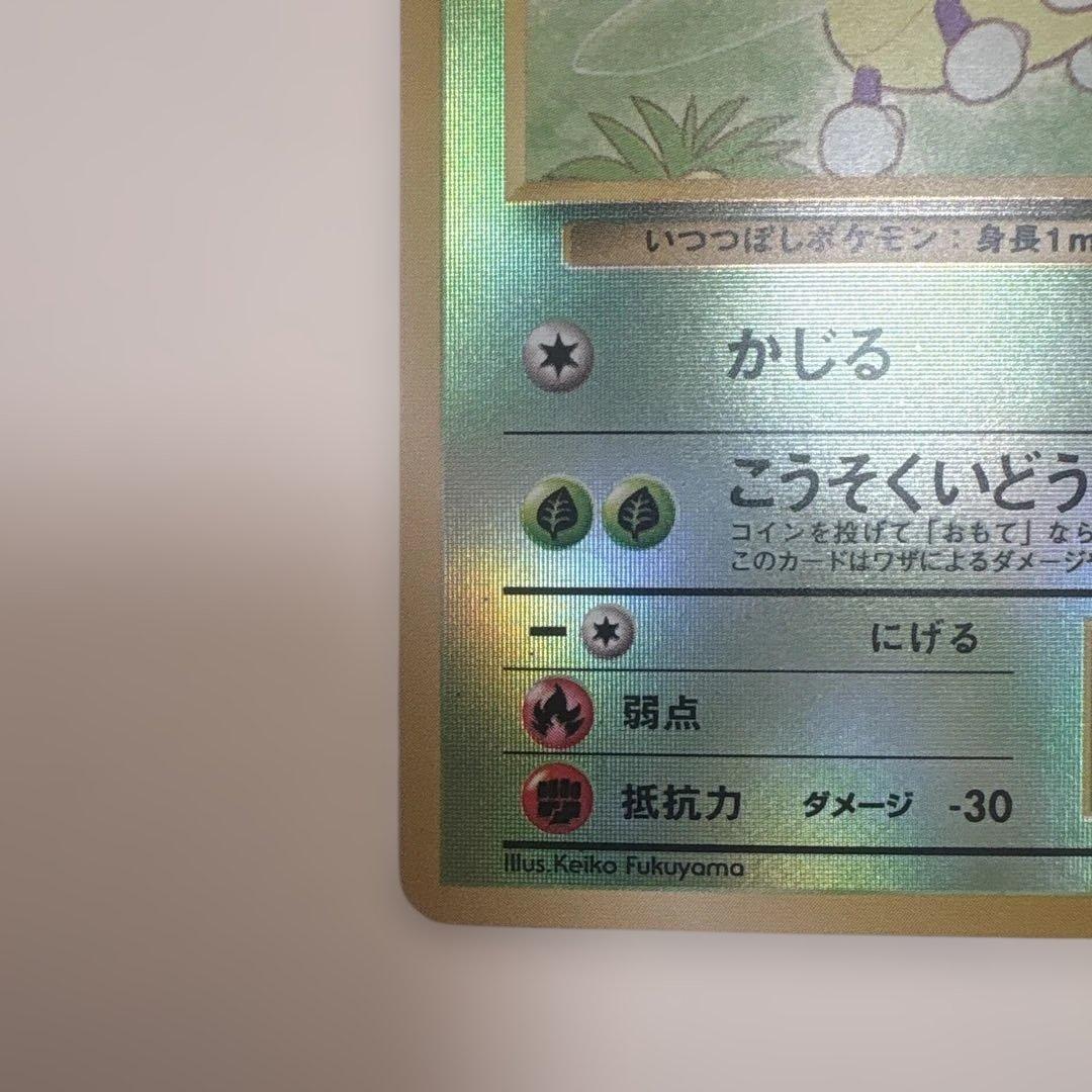 サザンアイランド　お花畑　旧裏ポケモンカード　ポストカードなし