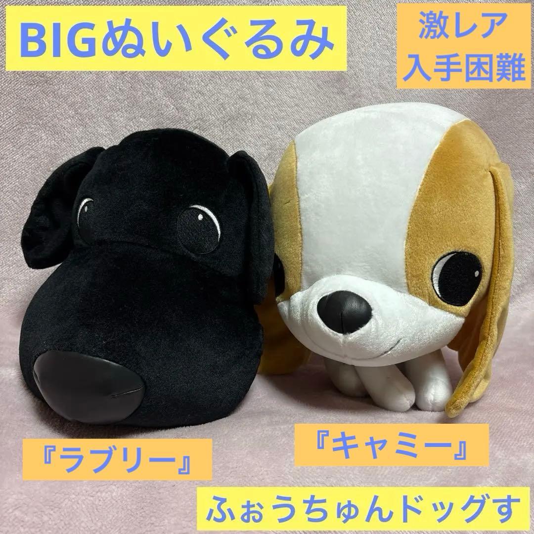 ふぉうちゅんドッグす ぬいぐるみ 犬 BIG 非売品 ラブリー キャミー