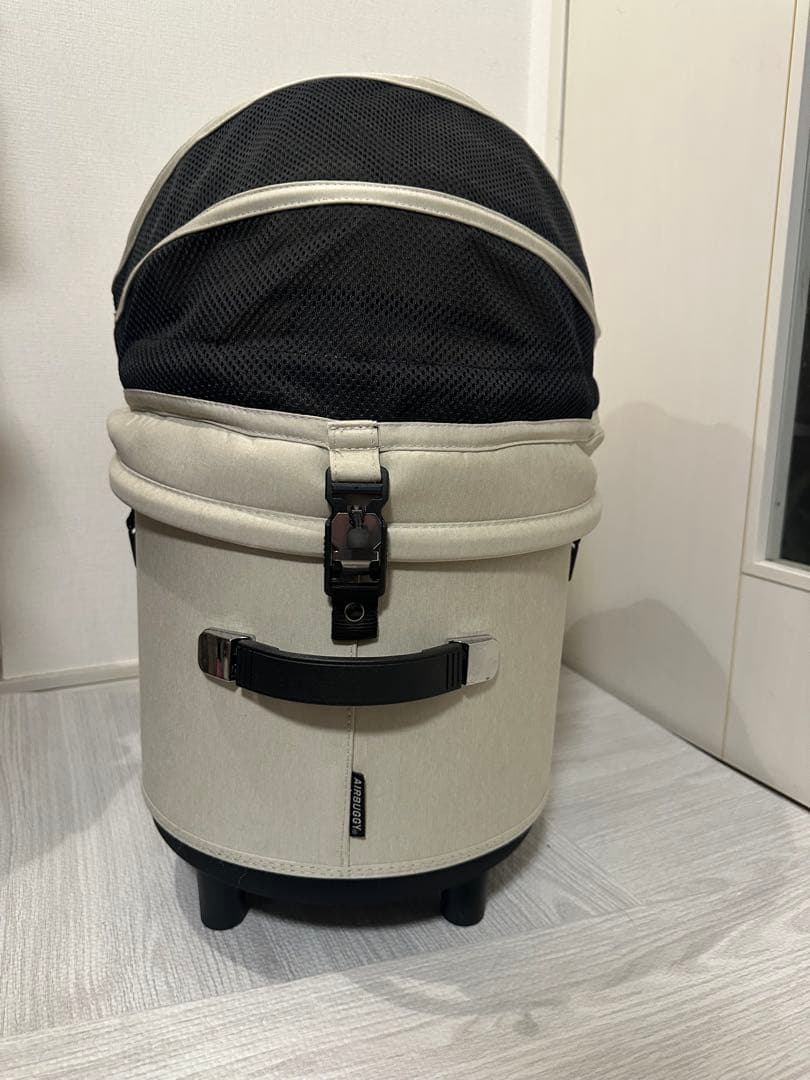 エアバギードーム3 プレミアモデル 限定アーバンホワイト　レギュラーコットのみ