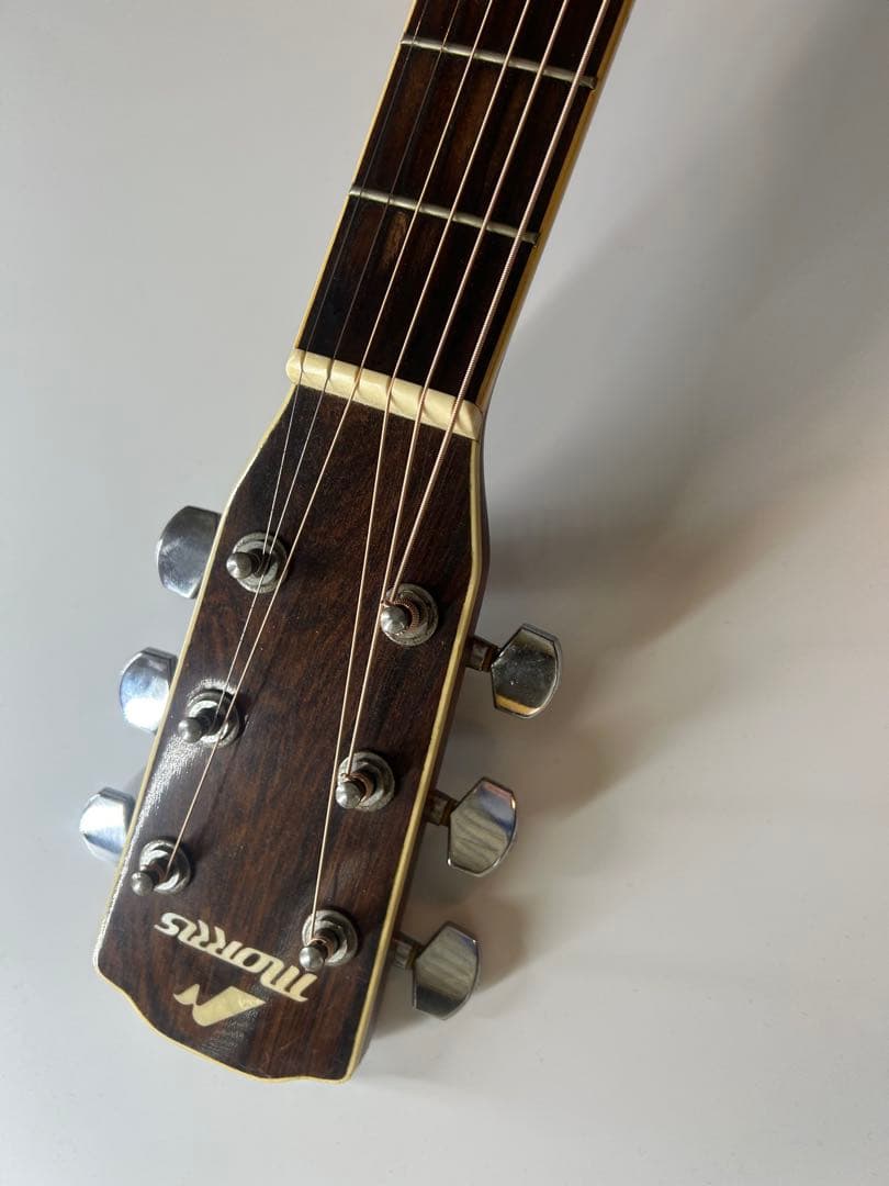 Morris m-501 アコースティックギター
