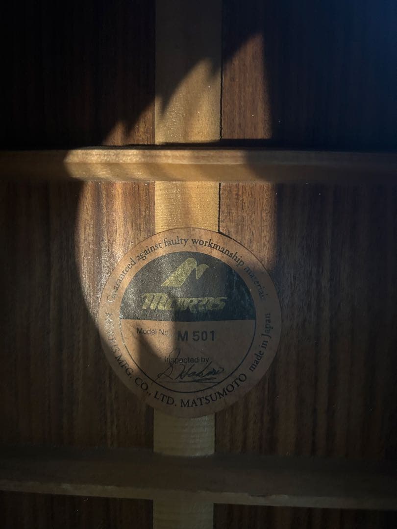 Morris m-501 アコースティックギター
