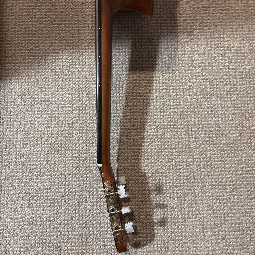 Morris (モーリス) M-25アコースティックギター