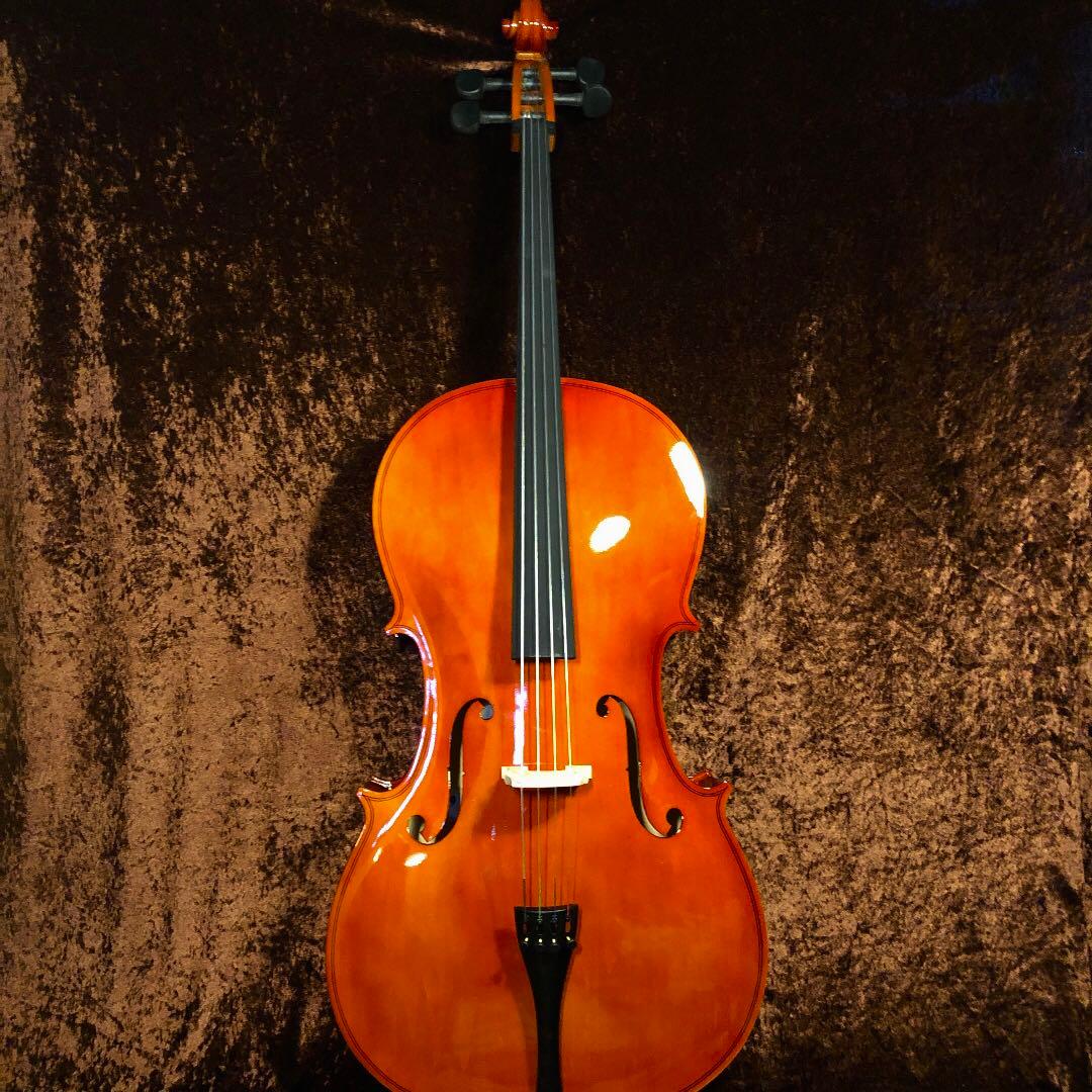 チェロ　Altezza アルテッツァ　No.45 4/4 新品