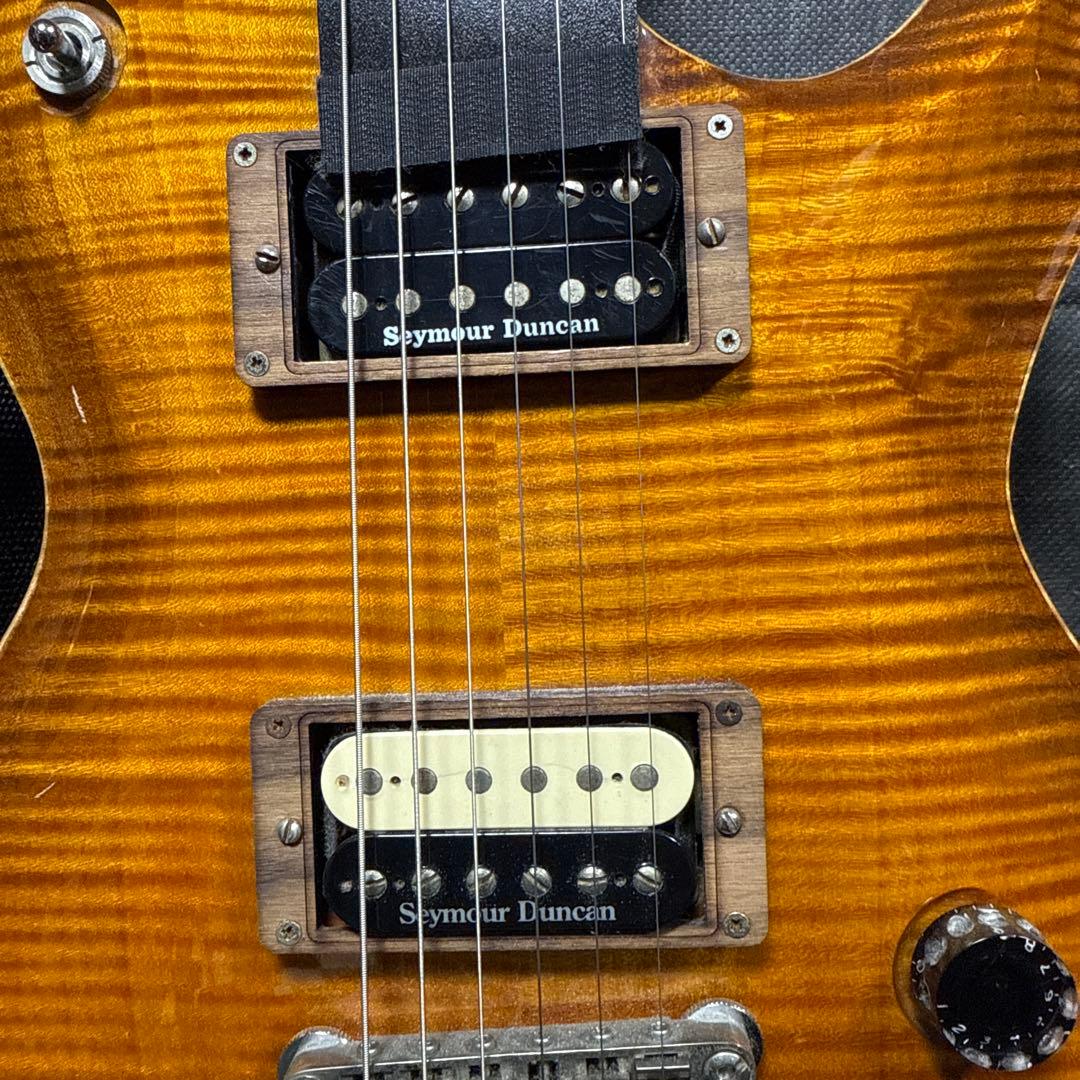 FGN フジゲン EFL FM