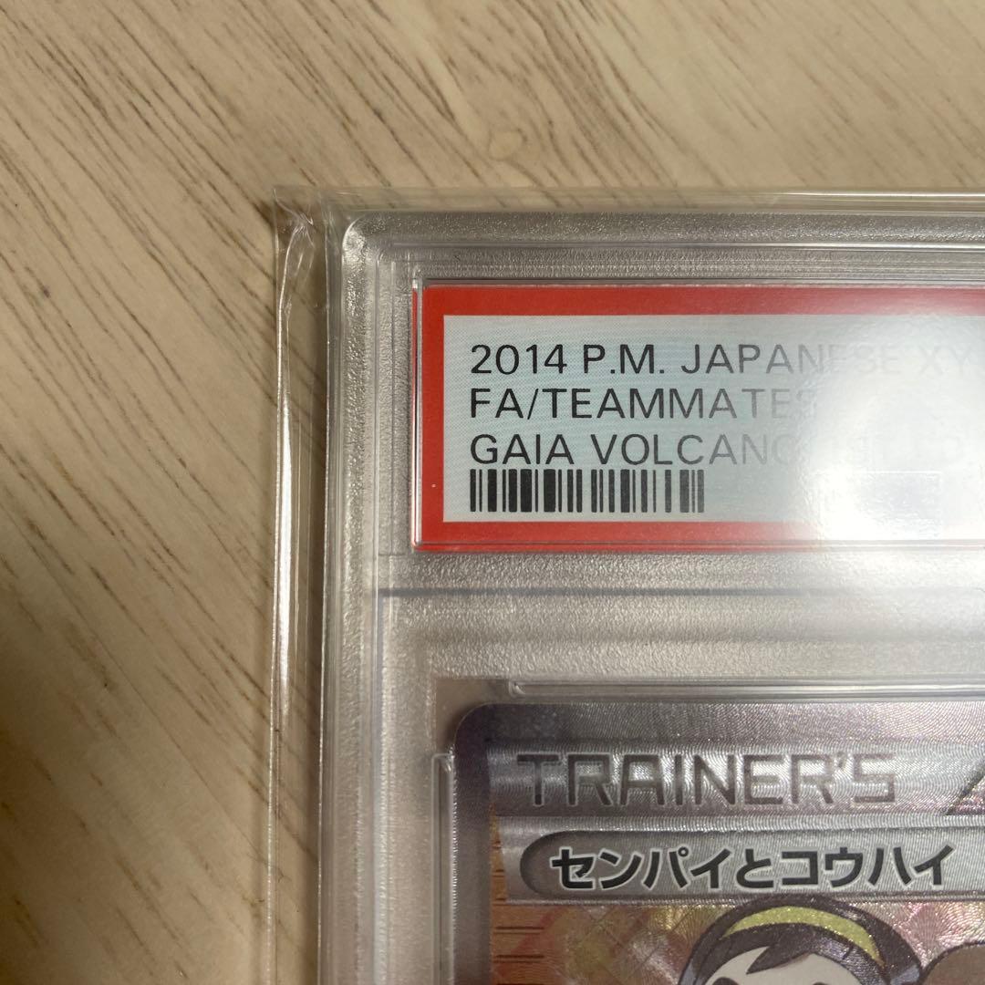 センパイとコウハイ　sr psa10