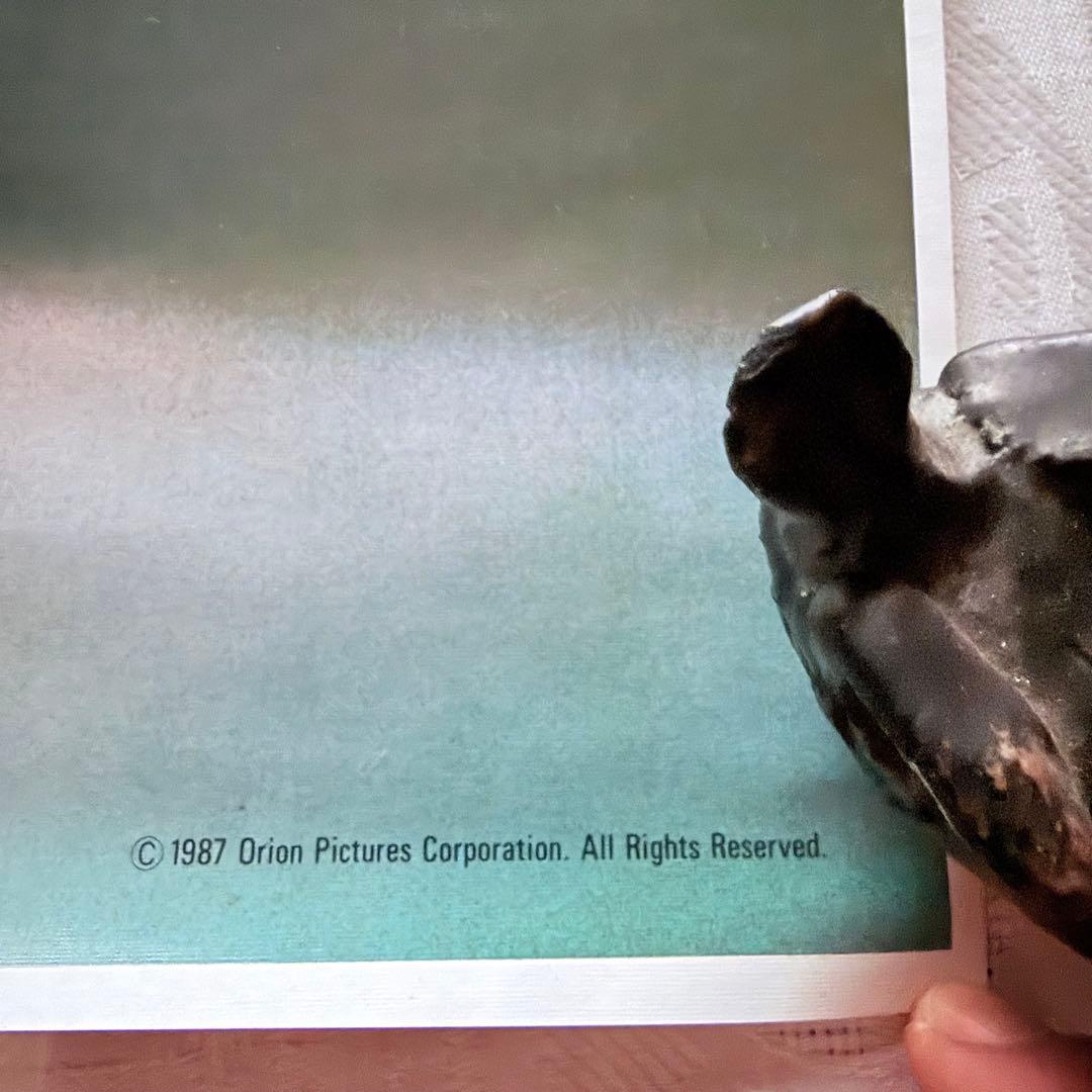 2241様感謝‼️米オライオンピクチャーズ'ROBOCOP 'ポスター特別紙未使用