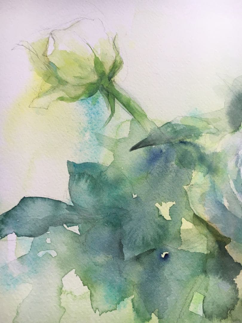 透明水彩画原画白薔薇ホワイトクリスマス⑦