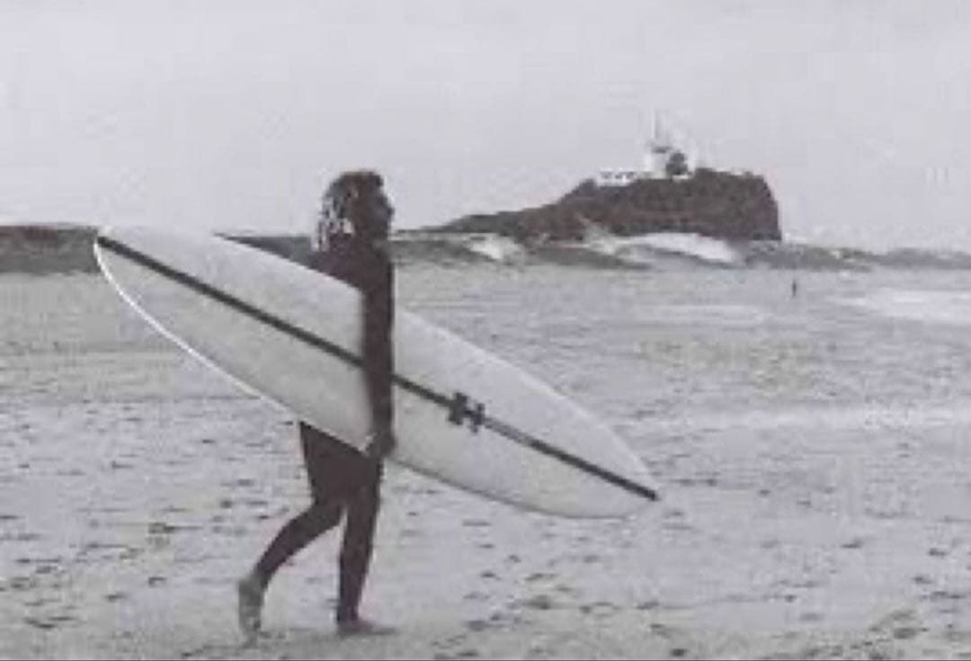 Hayden shapes ミッドレングス グライダー