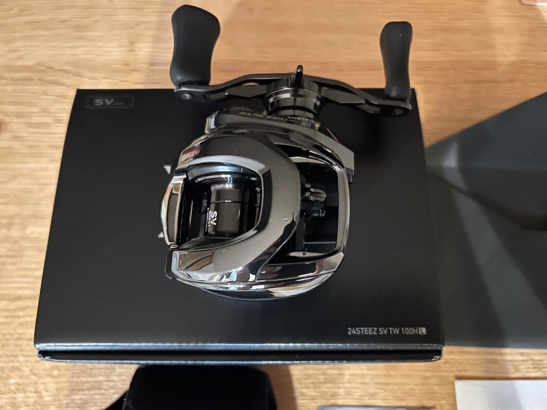 ダイワ 24スティーズ SV TW 100HL