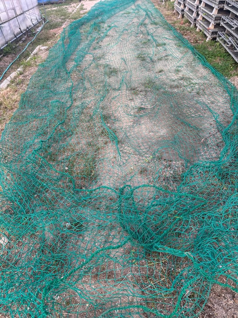防球ネット 防鳥ネット4m×16m 目合い2.5cmメッシュ