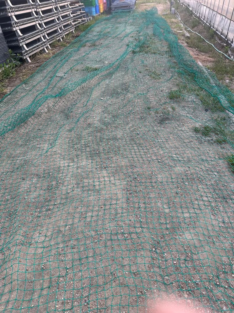 防球ネット 防鳥ネット4m×16m 目合い2.5cmメッシュ