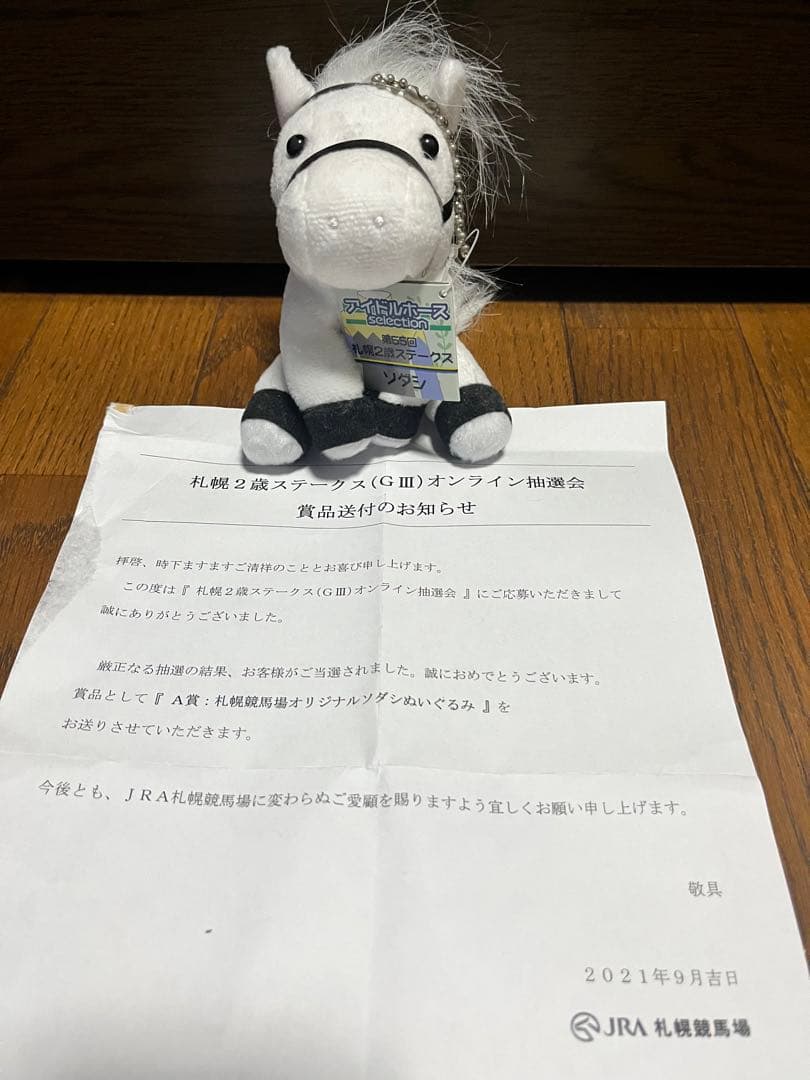 アイドルホース　ソダシ