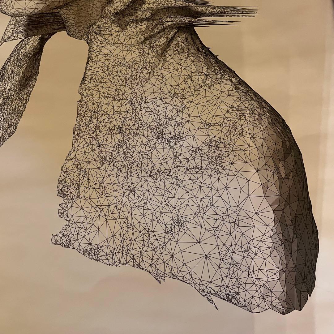 00s デッドストック cold play 大判ポスター