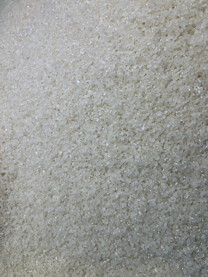 令和7年産　白米 10kg ななつぼし