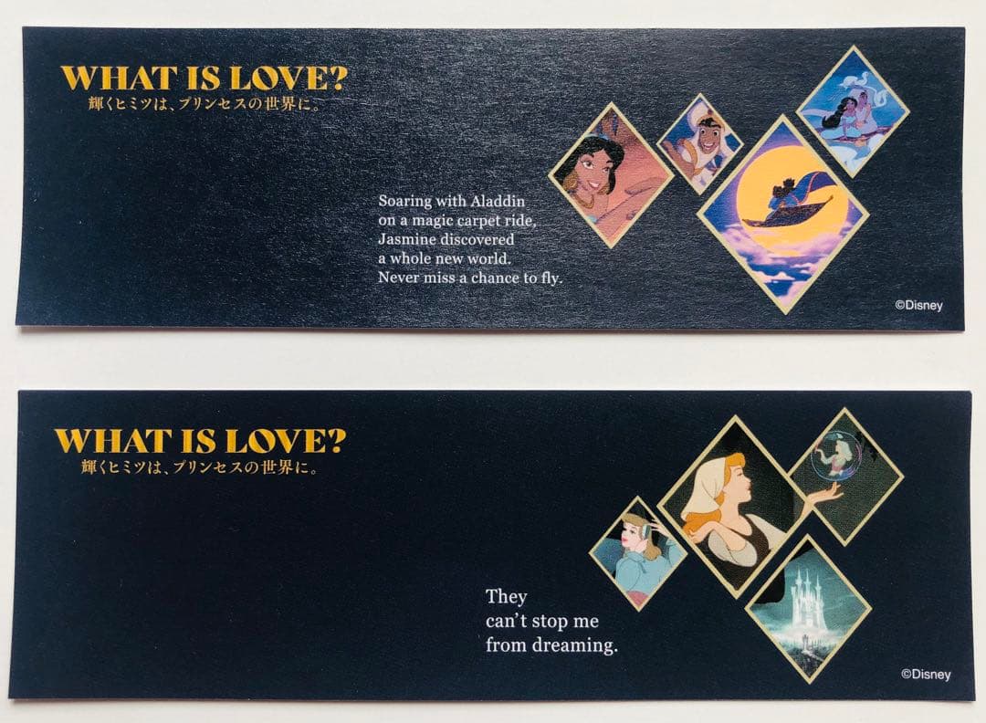 ディズニーのプリンセス展しおり