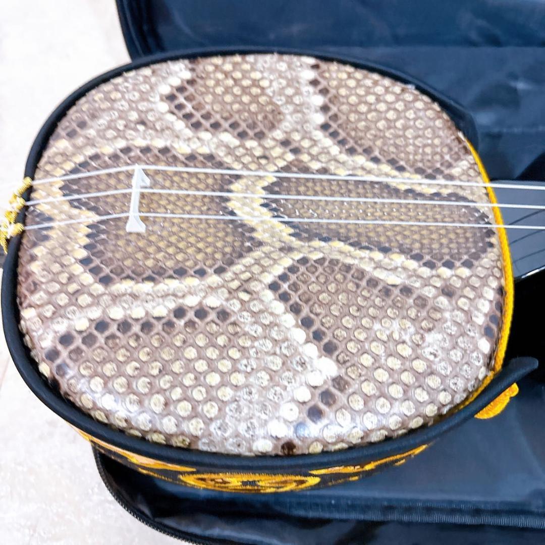 沖縄三線 本蛇革 ケース付き 初心者 入門 蛇皮 本革