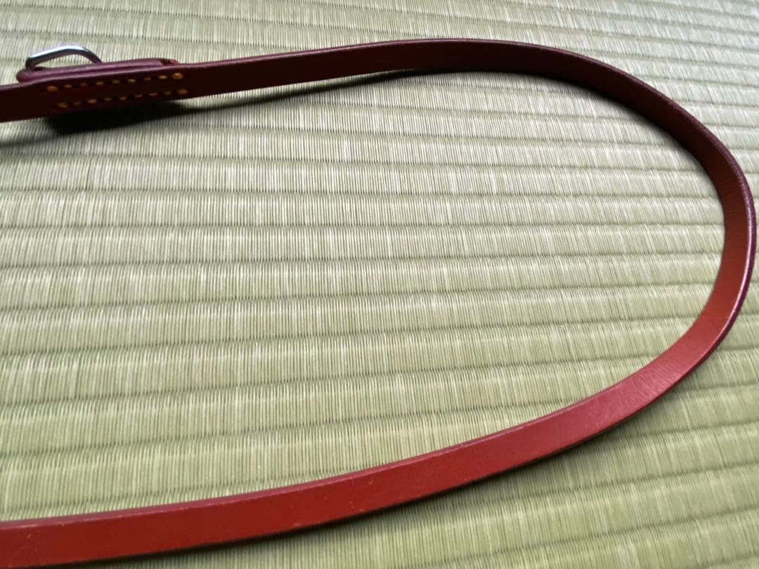 革の犬用リードと軍手はおまけに！