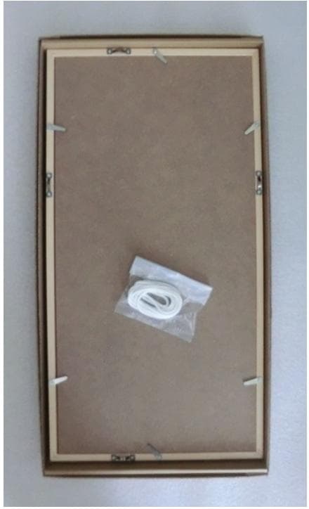 田中一村　額装印刷物　アダンの海辺