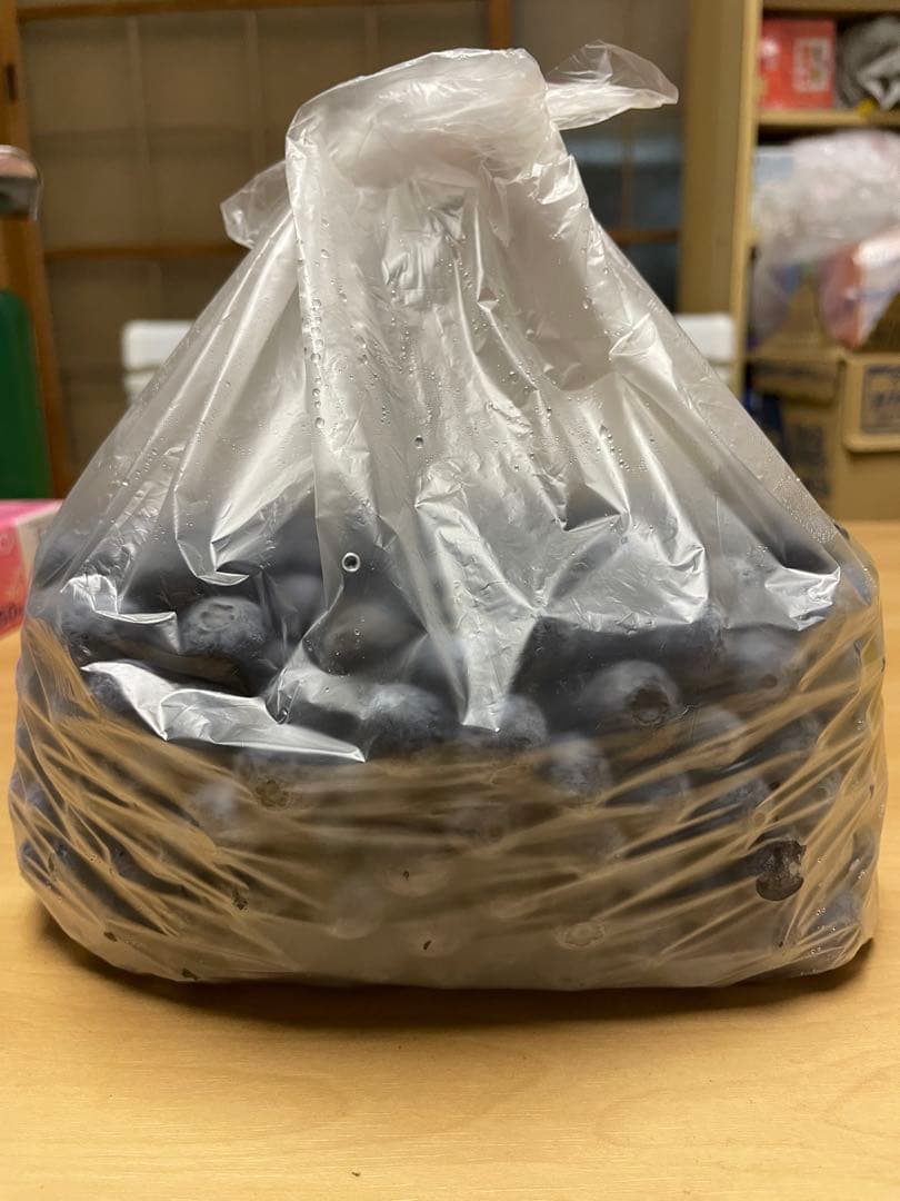 冷凍ブルーベリー　加工用　農薬不使用　10kg