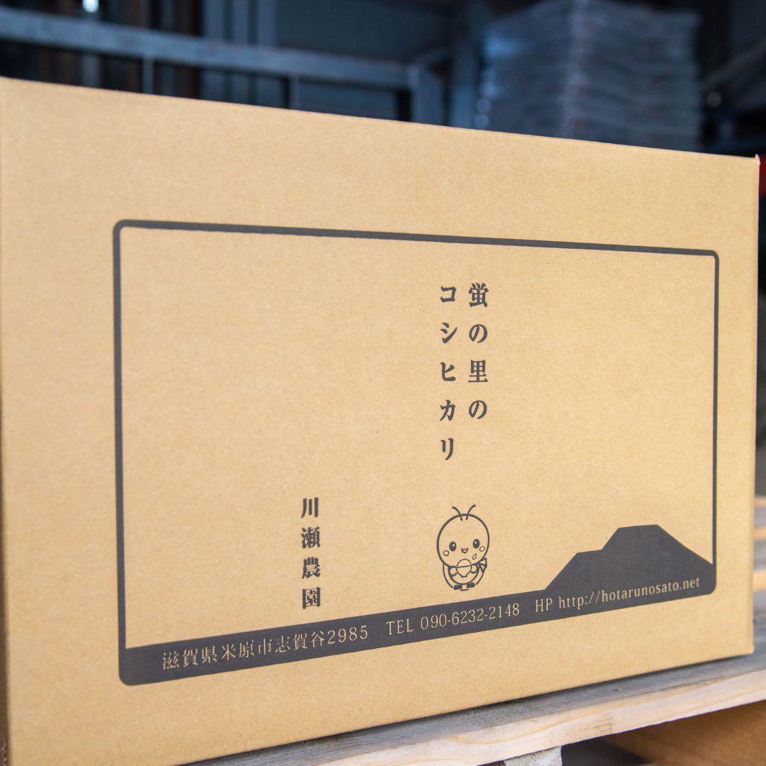 令和6年度産 コシヒカリ 30キロ 白米 送料無料！