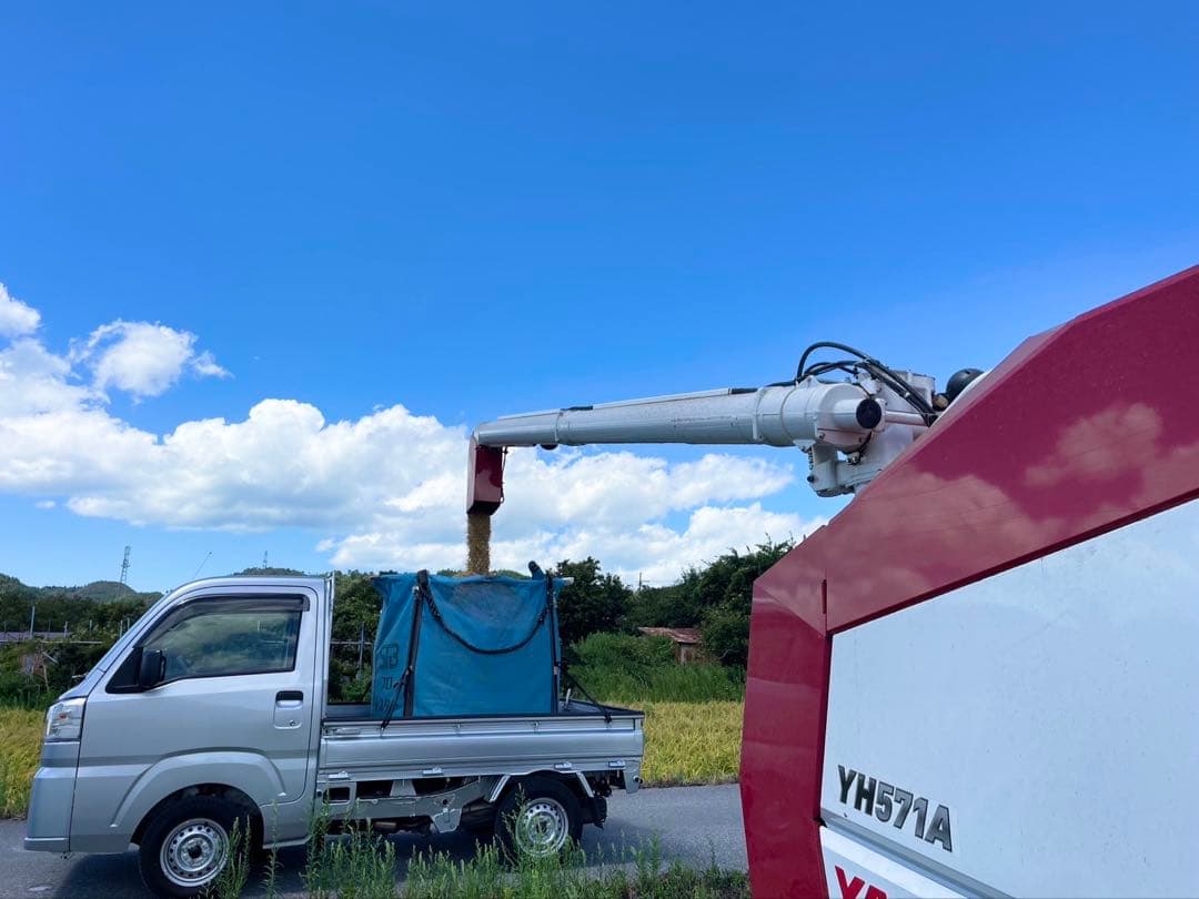 令和6年度産 コシヒカリ 30キロ 白米 送料無料！