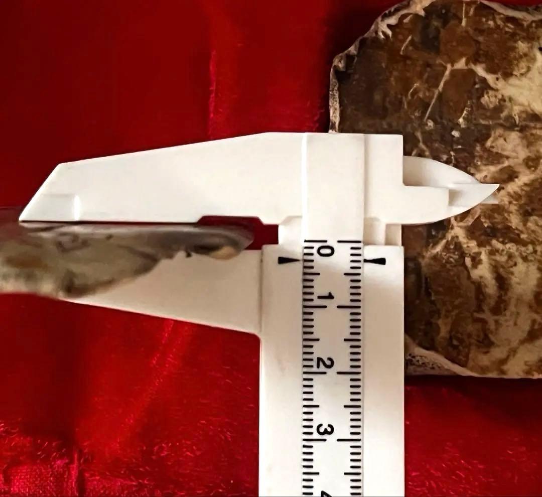 中国美術 希少 時代 古殷墟甲骨文 参考資料