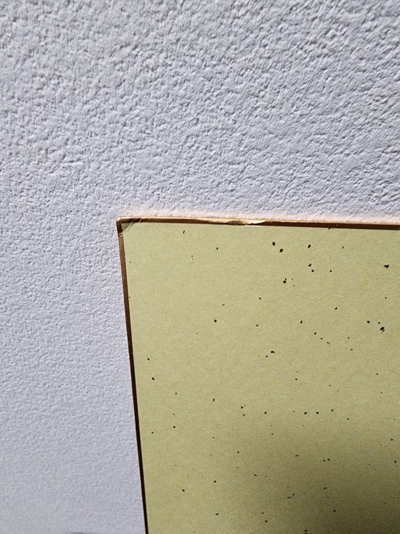 t*i様 【非売品】矢沢あい NANA 複製サイン色紙