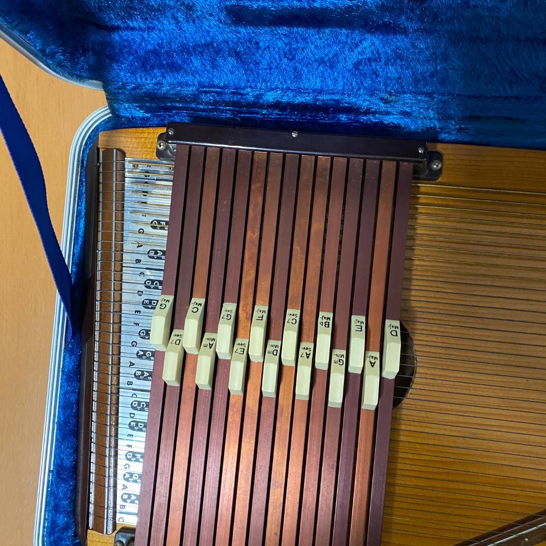 TOKAI GAKKI Chroma harp クロマハープ ハードケース付