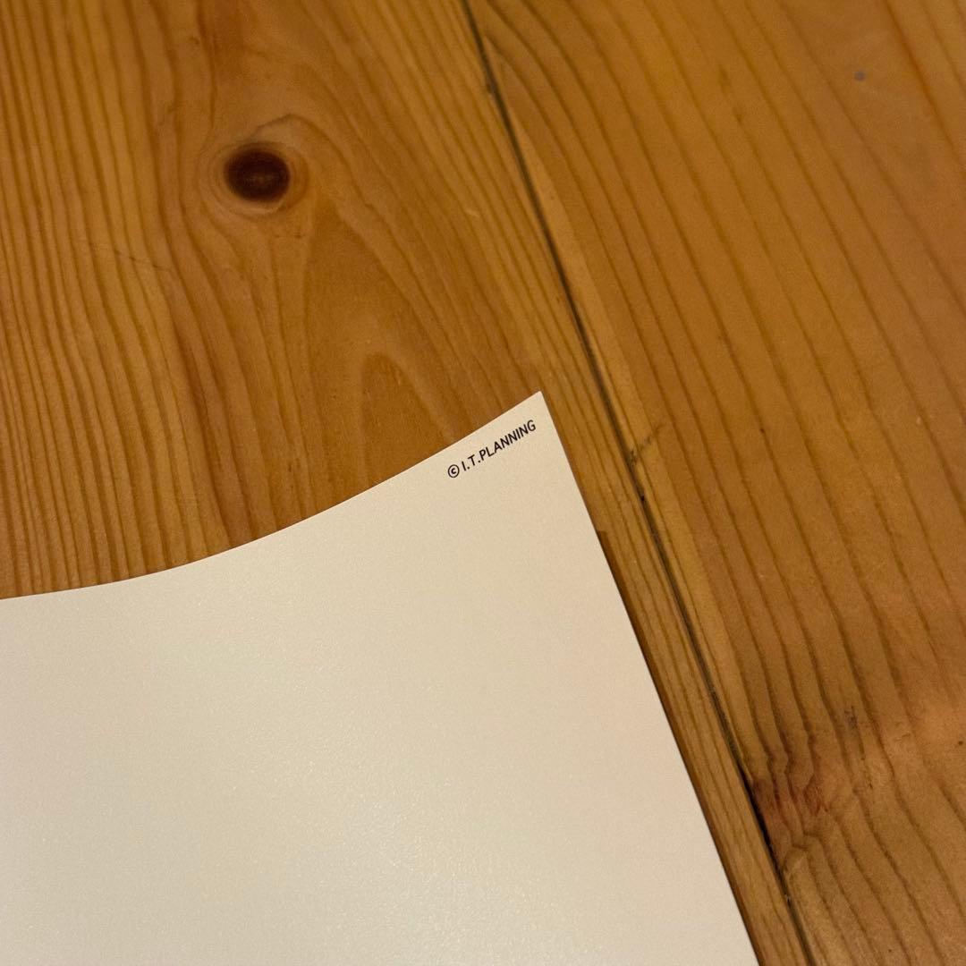 井上雄彦 最後のマンガ展 バガボンドB1ポスター　おつう