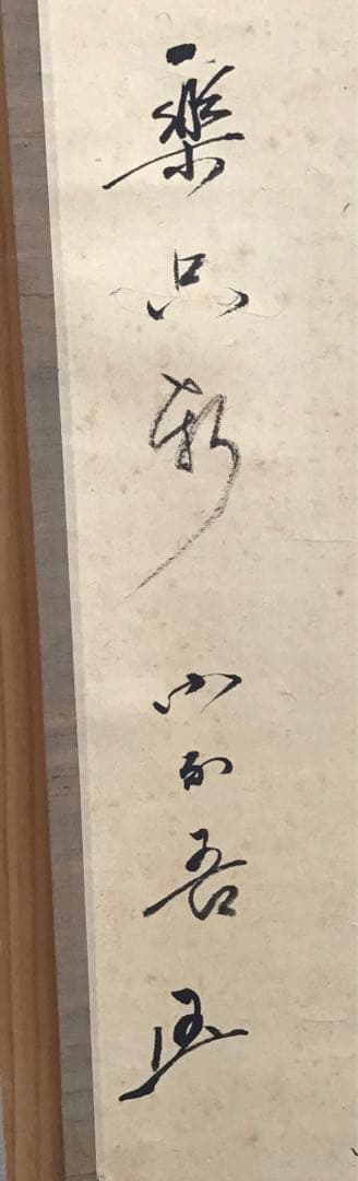 K茶道具　掛軸　松樹千年翠　松尾流十代不染斎筆、葆光斎書付　共箱紙箱S980KJ