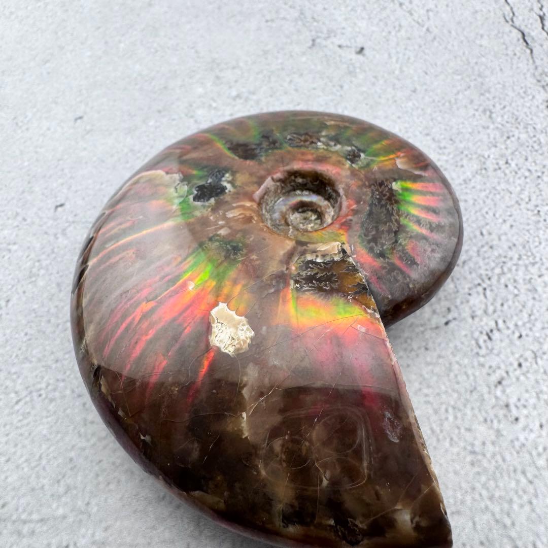 G-76天然アンモナイト原石　游色多色アンモナイト化石 天然石　コレクション標本