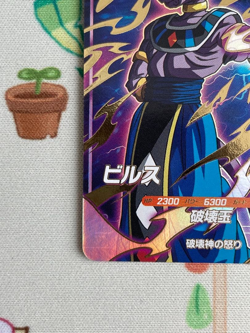 SDV2-056 GDR ビルス