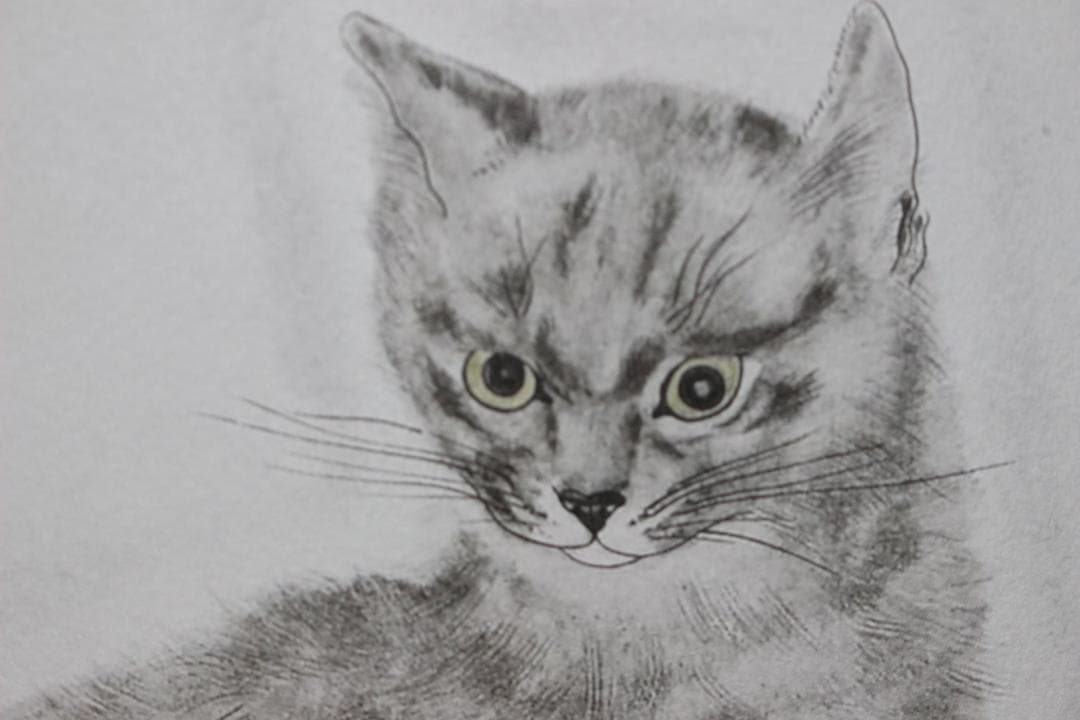 藤田嗣治 エスタンプリトグラフ「猫」 19/100