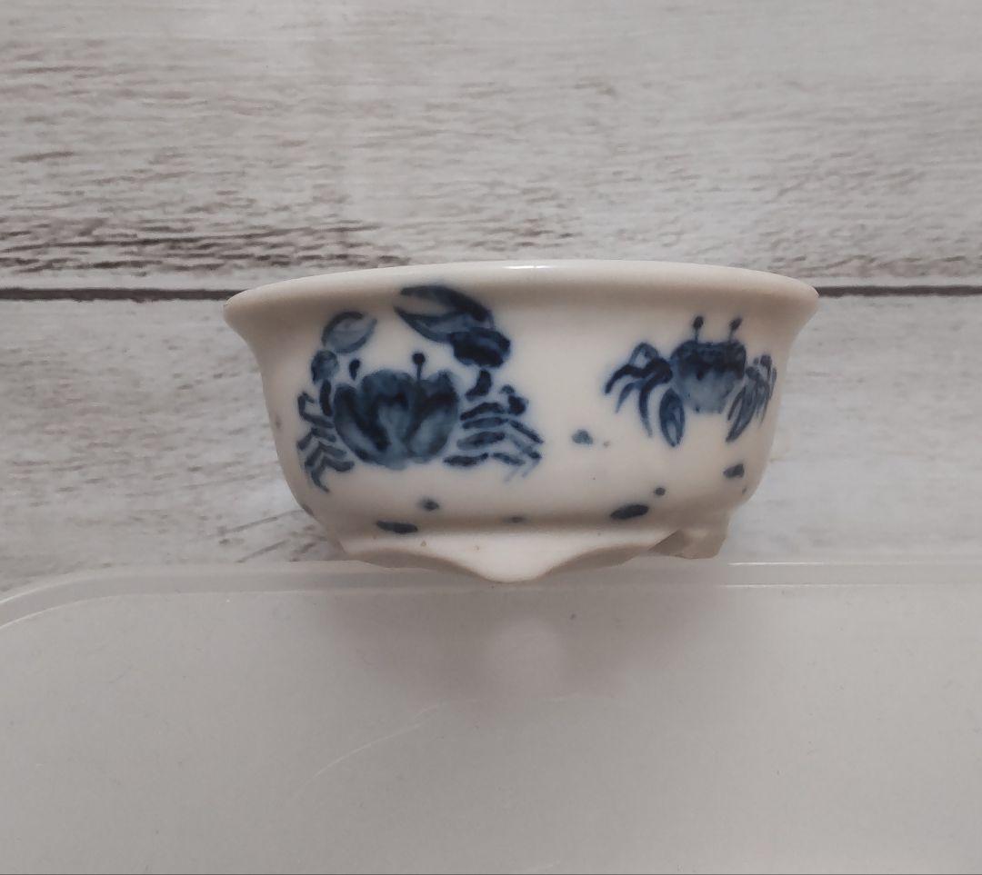 【レア】宗像一蒼×大島まゆみコラボ　ミニ盆栽鉢