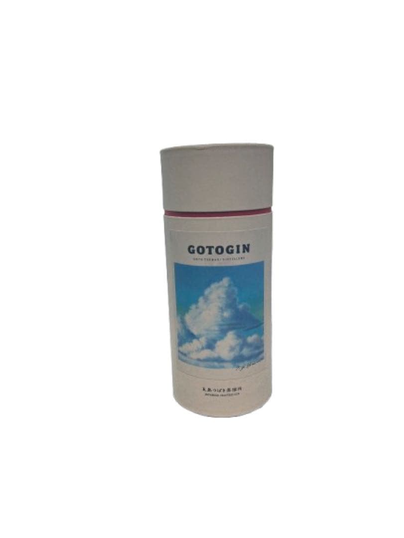 GOTOGIN 空よ雲よ2024