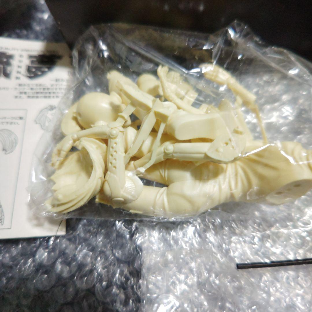 銃夢　ガリィ　ガレージキット　未組立