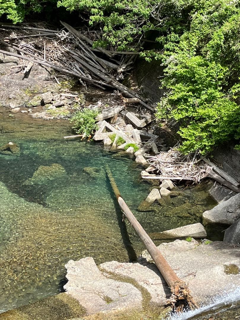 ハンドメイド　流木　バードジム　バードアスレチック　流木インテリア