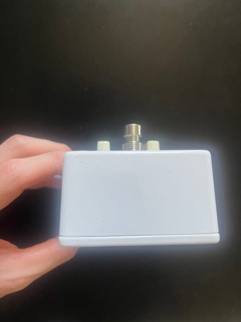 ギター Earthquaker devices dispatch master