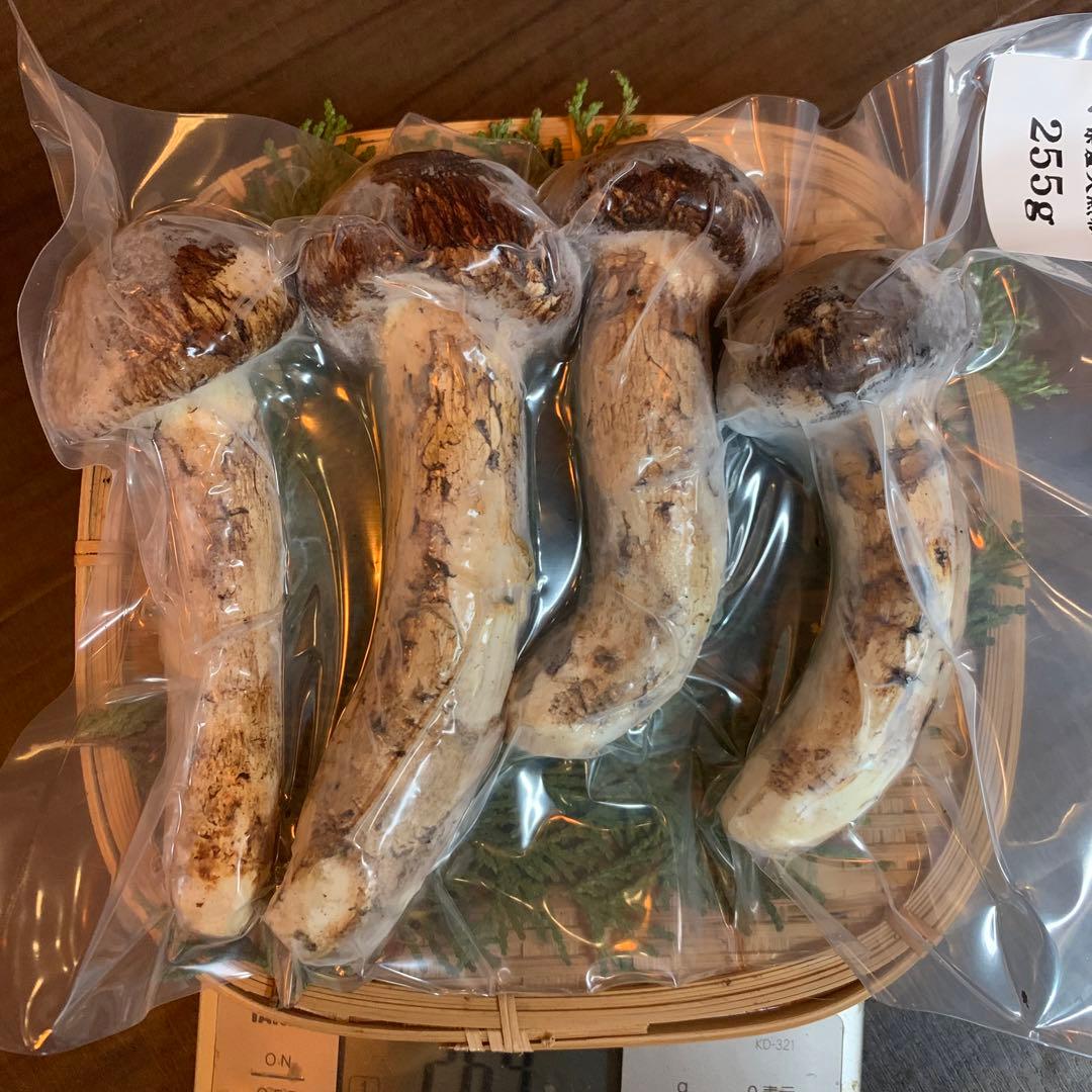 ①【岩手県産天然松茸】冷凍松茸　国産本場　つぼみ開き　255g