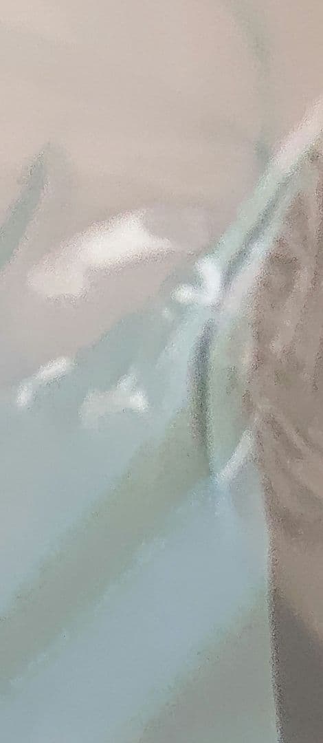 進撃の巨人 リヴァイ 人類最強の兵士 フィギュア