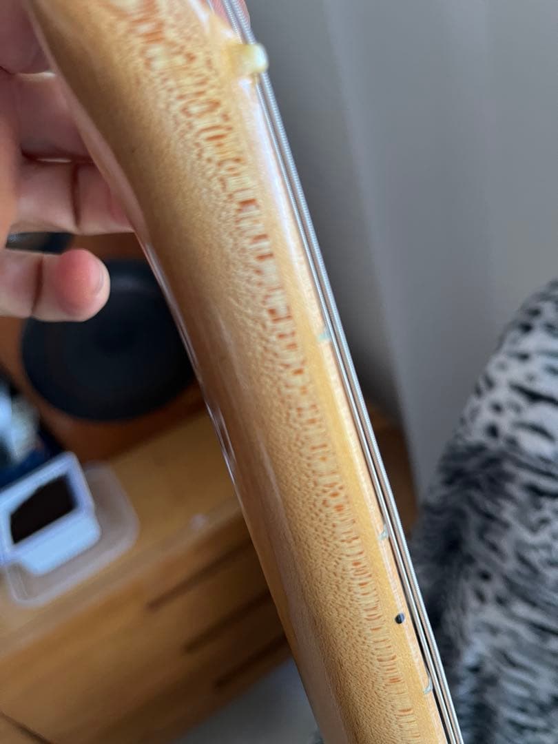 fernandes burny custom 70年代　fst-75