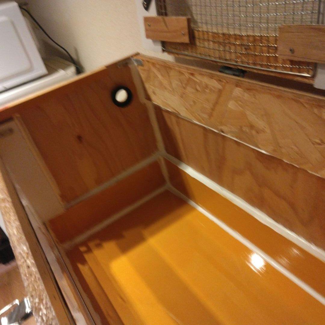 今期ラスト！自作爬虫類ケージ飼育セット