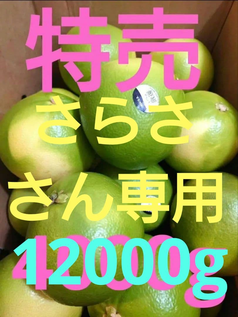 さらささん専用　12キロ